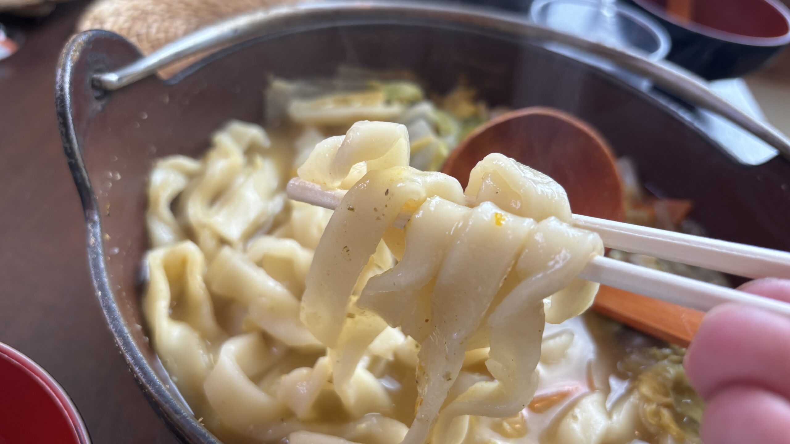 歩成のほうとうの麺